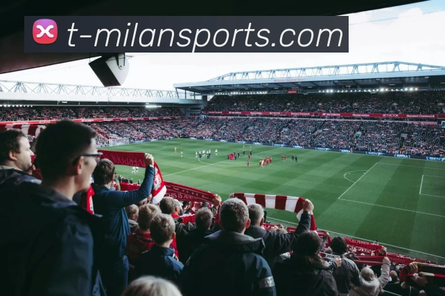 App Interface Preview